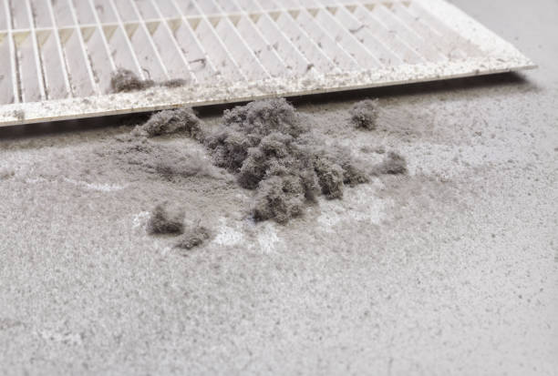 Best Commercial Air Duct Cleaning  in Hazel Green, AL