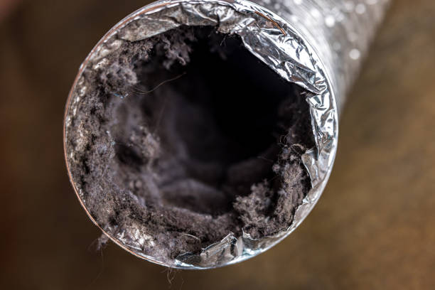 Best HVAC System Cleaning  in Hazel Green, AL