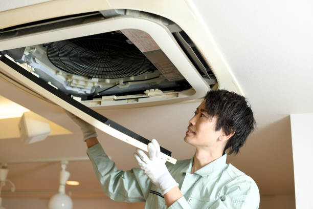 Best Dryer Vent Cleaning Services  in Hazel Green, AL