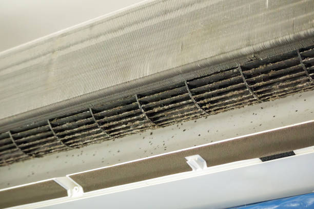 Best Duct Cleaning for Homes  in Hazel Green, AL