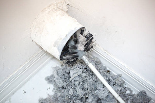 Best HVAC Maintenance and Cleaning  in Hazel Green, AL