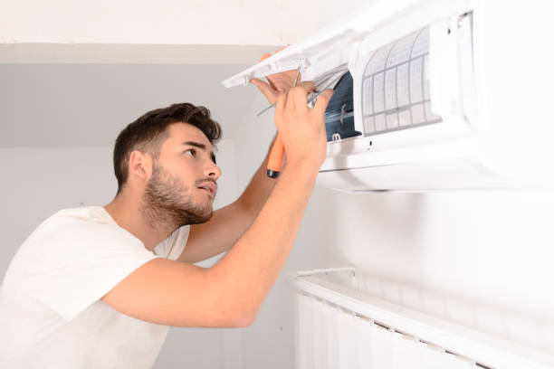 Best Air Duct Sanitizing Services  in Hazel Green, AL